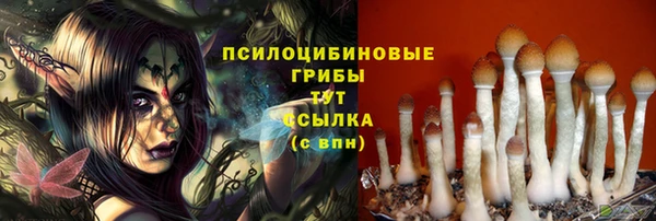 а пвп мука Нея