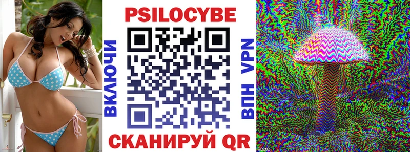 Галлюциногенные грибы Psilocybine cubensis  Шилка 